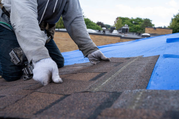 Best Roof Gutter Cleaning  in Mount Vernon, KY