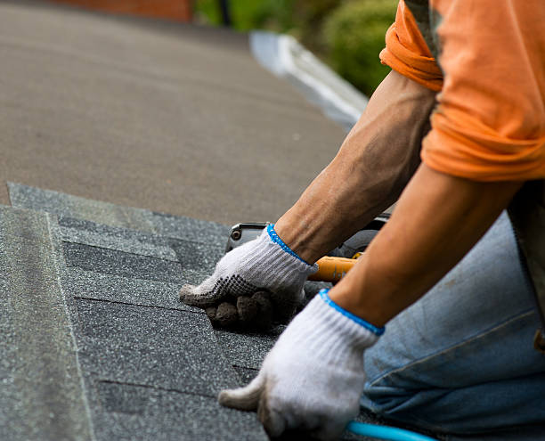 Best New Roof Installation  in Mount Vernon, KY
